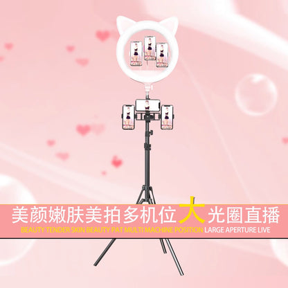 20-inch large aperture live ring light, cute cat type net red mobile phone live fill light, beauty selfie light RK45